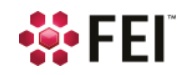 FEI_logo