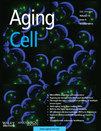 Aging Cell