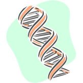 dna