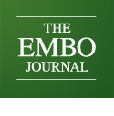 The EMBO Journal