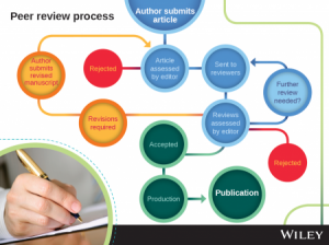 review process diagram