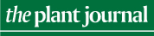 TPJ banner