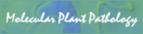 MPP Banner