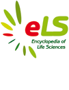 ELS Logo